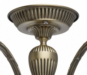 Люстра на штанге MW-Light Аманда 6 481011805 в Заводоуковске - zavodoukovsk.mebel24.online | фото 10