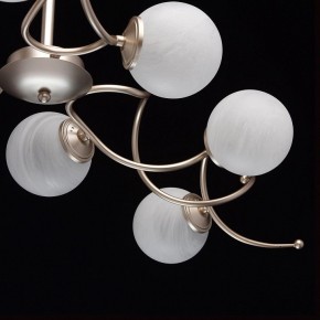 Люстра на штанге MW-Light Оливия 5 306012709 в Заводоуковске - zavodoukovsk.mebel24.online | фото 10