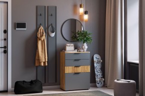 МЕБЕЛЬСОН К21 Прихожая  (графит) в Заводоуковске - zavodoukovsk.mebel24.online | фото