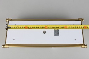 Накладной светильник Aployt Zoe APL.806.01.02 в Заводоуковске - zavodoukovsk.mebel24.online | фото 9