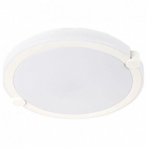 Накладной светильник Arte Lamp Biscotti A2679PL-72WH в Заводоуковске - zavodoukovsk.mebel24.online | фото