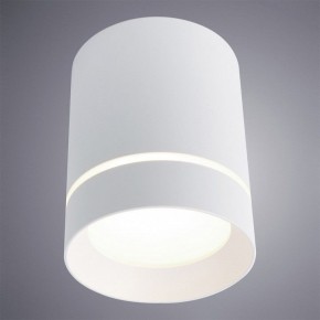 Накладной светильник Arte Lamp Elle A1949PL-1WH в Заводоуковске - zavodoukovsk.mebel24.online | фото 2