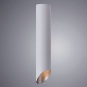 Накладной светильник Arte Lamp Pilon-Silver A1536PL-1WH в Заводоуковске - zavodoukovsk.mebel24.online | фото