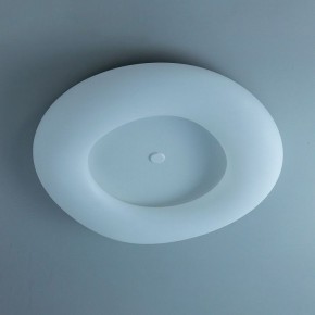 Накладной светильник Citilux Стратус Смарт CL732A800G в Заводоуковске - zavodoukovsk.mebel24.online | фото 10