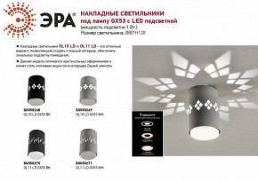 Накладной светильник Эра OL10 Б0050268 в Заводоуковске - zavodoukovsk.mebel24.online | фото 5