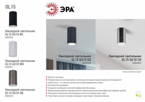 Накладной светильник Эра OL15 GU10 WH Б0049041 в Заводоуковске - zavodoukovsk.mebel24.online | фото 5