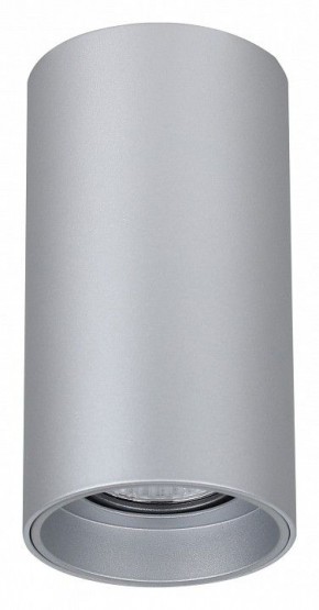 Накладной светильник Favourite Stirpe 2797-1U в Заводоуковске - zavodoukovsk.mebel24.online | фото 2