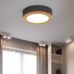 Накладной светильник Imperiumloft Wudda Серый WUDDA01 в Заводоуковске - zavodoukovsk.mebel24.online | фото 4
