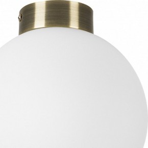 Накладной светильник Lightstar Globo 812021 в Заводоуковске - zavodoukovsk.mebel24.online | фото 3