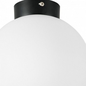 Накладной светильник Lightstar Globo 812027 в Заводоуковске - zavodoukovsk.mebel24.online | фото 2