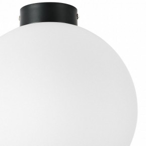 Накладной светильник Lightstar Globo 812037 в Заводоуковске - zavodoukovsk.mebel24.online | фото 3