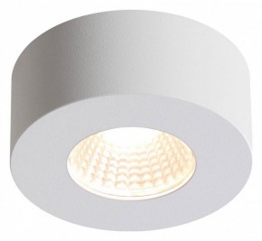 Накладной светильник Odeon Light Bene 4282/7CL в Заводоуковске - zavodoukovsk.mebel24.online | фото 2