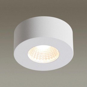 Накладной светильник Odeon Light Bene 4282/7CL в Заводоуковске - zavodoukovsk.mebel24.online | фото 3