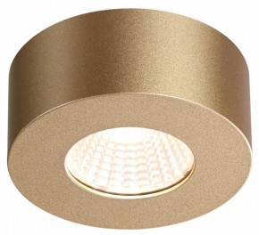Накладной светильник Odeon Light Bene 4284/7CL в Заводоуковске - zavodoukovsk.mebel24.online | фото 4
