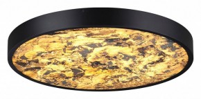 Накладной светильник Odeon Light Bergi 5064/40L в Заводоуковске - zavodoukovsk.mebel24.online | фото 2