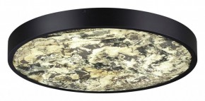 Накладной светильник Odeon Light Bergi 5064/40L в Заводоуковске - zavodoukovsk.mebel24.online | фото 3