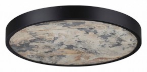 Накладной светильник Odeon Light Bergi 5064/40L в Заводоуковске - zavodoukovsk.mebel24.online | фото 6