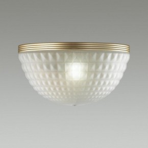 Накладной светильник Odeon Light Malaga 4936/1W в Заводоуковске - zavodoukovsk.mebel24.online | фото 2