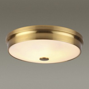 Накладной светильник Odeon Light Marsei 4824/4C в Заводоуковске - zavodoukovsk.mebel24.online | фото 2