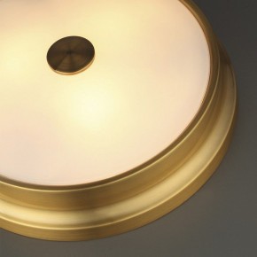 Накладной светильник Odeon Light Marsei 4824/4C в Заводоуковске - zavodoukovsk.mebel24.online | фото 5