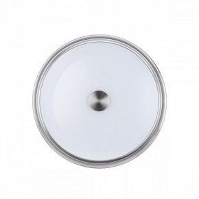 Накладной светильник Odeon Light Marsei 4825/3C в Заводоуковске - zavodoukovsk.mebel24.online | фото 2