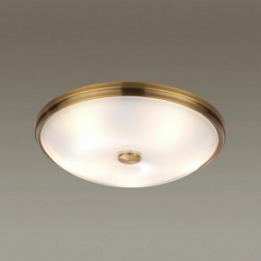 Накладной светильник Odeon Light Pelow 4956/5 в Заводоуковске - zavodoukovsk.mebel24.online | фото 2