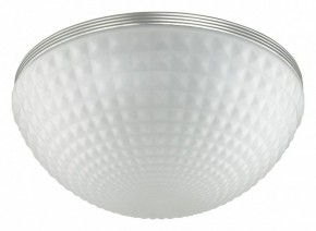 Накладной светильник Odeon Light Pirsa 4937/4C в Заводоуковске - zavodoukovsk.mebel24.online | фото 2