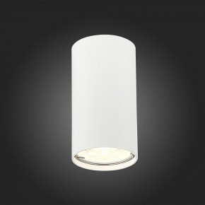 Накладной светильник ST-Luce Simplus ST110.507.01 в Заводоуковске - zavodoukovsk.mebel24.online | фото 4
