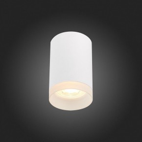 Накладной светильник ST-Luce ST100 ST100.502.01 в Заводоуковске - zavodoukovsk.mebel24.online | фото 4