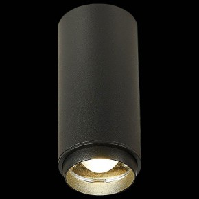 Накладной светильник ST-Luce Zoom ST600.442.10 в Заводоуковске - zavodoukovsk.mebel24.online | фото 4