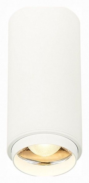 Накладной светильник ST-Luce Zoom ST600.532.10 в Заводоуковске - zavodoukovsk.mebel24.online | фото 2