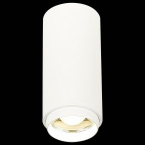 Накладной светильник ST-Luce Zoom ST600.542.10 в Заводоуковске - zavodoukovsk.mebel24.online | фото 3