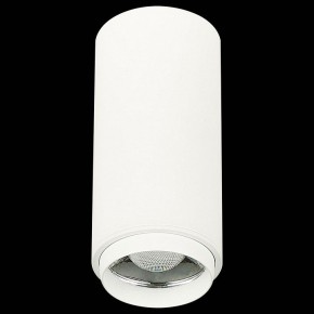 Накладной светильник ST-Luce Zoom ST600.542.10 в Заводоуковске - zavodoukovsk.mebel24.online | фото 4