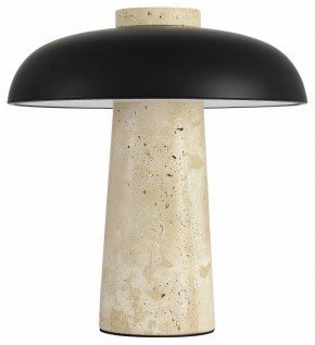 Настольная лампа декоративная ST-Luce Earthy SL1194.424.01 в Заводоуковске - zavodoukovsk.mebel24.online | фото