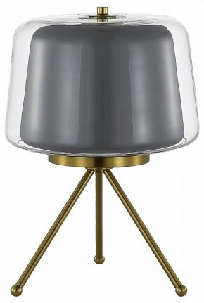 Настольная лампа декоративная ST-Luce Pandora SL6127.314.01 в Заводоуковске - zavodoukovsk.mebel24.online | фото