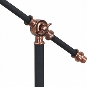 Настольная лампа офисная Arte Lamp Braccio A2054LT-1BK в Заводоуковске - zavodoukovsk.mebel24.online | фото 3