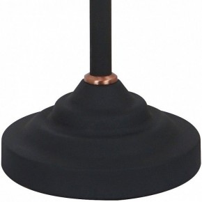 Настольная лампа офисная Arte Lamp Braccio A2054LT-1BK в Заводоуковске - zavodoukovsk.mebel24.online | фото 4