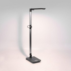 Настольная лампа офисная Elektrostandard Great a065290 в Заводоуковске - zavodoukovsk.mebel24.online | фото 3