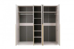 НИКОЛЬ 25 Шкаф 5-ти створчатый в Заводоуковске - zavodoukovsk.mebel24.online | фото 3
