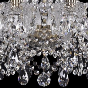 Подвесная люстра Bohemia Ivele Crystal 1411 1411/10/195/Pa в Заводоуковске - zavodoukovsk.mebel24.online | фото 3