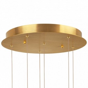 Подвесная люстра Lightstar Colore 805169 в Заводоуковске - zavodoukovsk.mebel24.online | фото 6