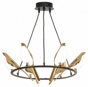 Подвесная люстра Lussole Jasper LSP-8641 в Заводоуковске - zavodoukovsk.mebel24.online | фото 4