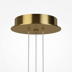 Подвесная люстра Maytoni Arana MOD401PL-L108BS3K в Заводоуковске - zavodoukovsk.mebel24.online | фото 7