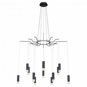 Подвесная люстра Maytoni Davida MOD035PL-12B в Заводоуковске - zavodoukovsk.mebel24.online | фото 2