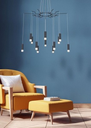 Подвесная люстра Maytoni Davida MOD035PL-12B в Заводоуковске - zavodoukovsk.mebel24.online | фото 5