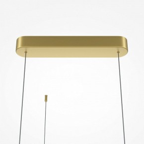 Подвесная люстра Maytoni Radiance MOD278PL-L86G3K1 в Заводоуковске - zavodoukovsk.mebel24.online | фото 6