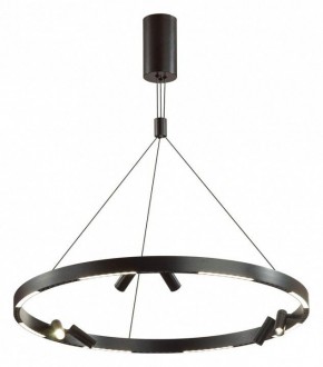 Подвесная люстра Odeon Light Beveren 6683/103L в Заводоуковске - zavodoukovsk.mebel24.online | фото 2