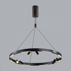 Подвесная люстра Odeon Light Beveren 6683/103L в Заводоуковске - zavodoukovsk.mebel24.online | фото 3