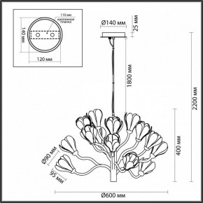 Подвесная люстра Odeon Light Gardi 5090/15 в Заводоуковске - zavodoukovsk.mebel24.online | фото 6