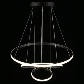 Подвесной светильник Aployt Janina APL.018.03.60 в Заводоуковске - zavodoukovsk.mebel24.online | фото 12